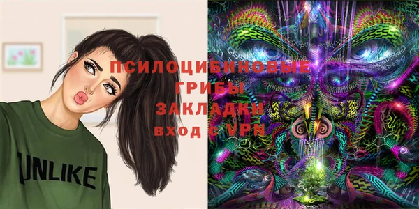 эйфоретик Кинешма