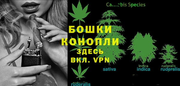 эйфоретик Кинешма