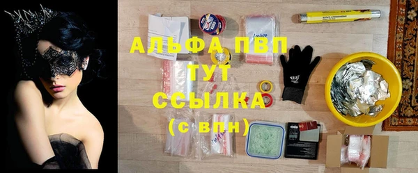 эйфоретик Кинешма