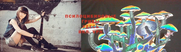 стафф Киренск