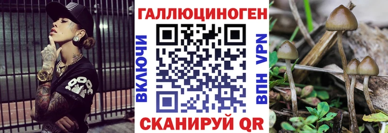 Купить  Арсеньев  Псилоцибиновые грибы мухоморы 